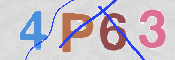 この文字を入力してください