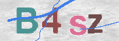 この文字を入力してください