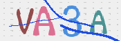 この文字を入力してください