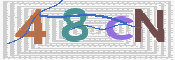 この文字を入力してください