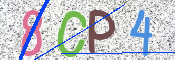 この文字を入力してください