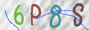 この文字を入力してください