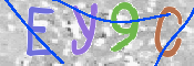 この文字を入力してください