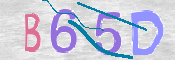 この文字を入力してください