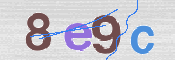 この文字を入力してください