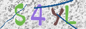 この文字を入力してください