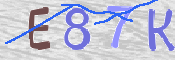 この文字を入力してください
