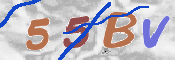 この文字を入力してください