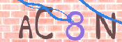 この文字を入力してください
