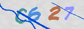 この文字を入力してください