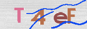 この文字を入力してください