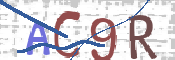 この文字を入力してください