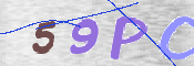 この文字を入力してください
