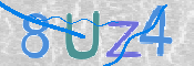 この文字を入力してください