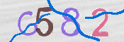 この文字を入力してください