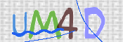 この文字を入力してください