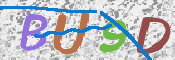 この文字を入力してください