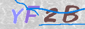 この文字を入力してください