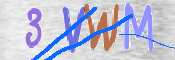 この文字を入力してください