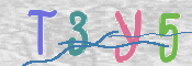 この文字を入力してください