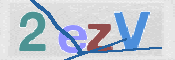 この文字を入力してください