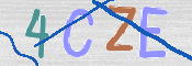 この文字を入力してください