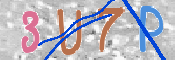 この文字を入力してください