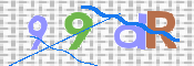 この文字を入力してください
