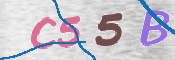 この文字を入力してください