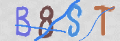 この文字を入力してください