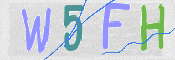 この文字を入力してください