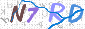 この文字を入力してください