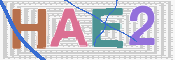 この文字を入力してください