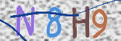 この文字を入力してください