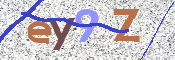 この文字を入力してください