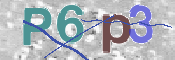 この文字を入力してください