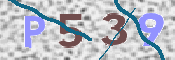 この文字を入力してください