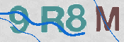 この文字を入力してください