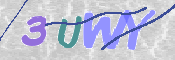 この文字を入力してください