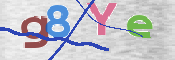 この文字を入力してください
