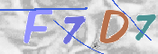 この文字を入力してください