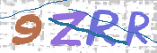 この文字を入力してください