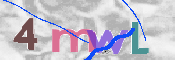 この文字を入力してください