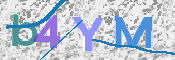 この文字を入力してください