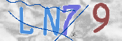 この文字を入力してください