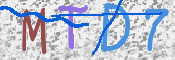 この文字を入力してください