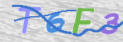 この文字を入力してください