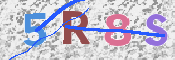 この文字を入力してください