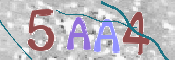 この文字を入力してください