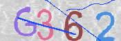 この文字を入力してください